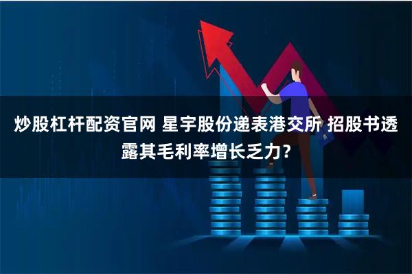 炒股杠杆配资官网 星宇股份递表港交所 招股书透露其毛利率增长乏力？