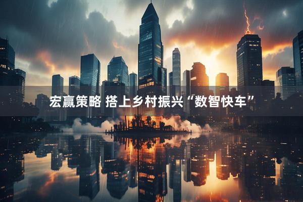 宏赢策略 搭上乡村振兴“数智快车”